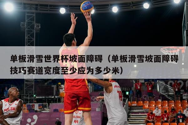单板滑雪世界杯坡面障碍(单板滑雪坡面障碍技巧赛道宽度至少应为多少米)