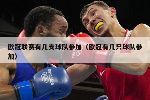 欧冠联赛有几支球队参加(欧冠有几只球队参加)