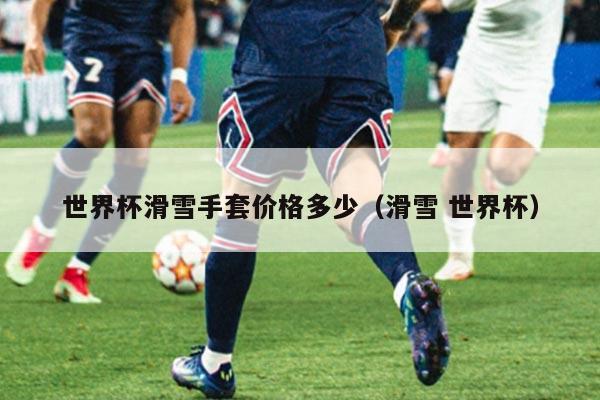 世界杯滑雪手套价格多少（滑雪 世界杯）