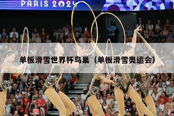 单板滑雪世界杯鸟巢(单板滑雪奥运会)