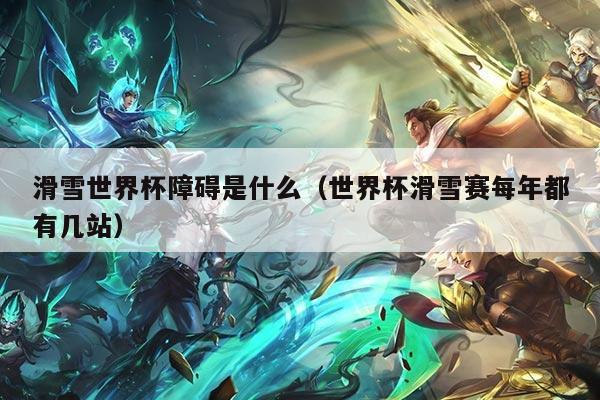 滑雪世界杯障碍是什么（世界杯滑雪赛每年都有几站）