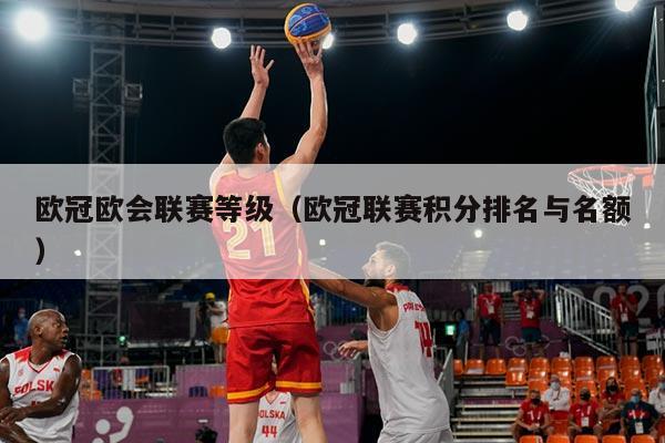 欧冠欧会联赛等级（欧冠联赛积分排名与名额）
