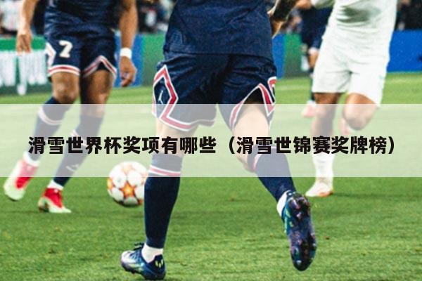 滑雪世界杯奖项有哪些（滑雪世锦赛奖牌榜）