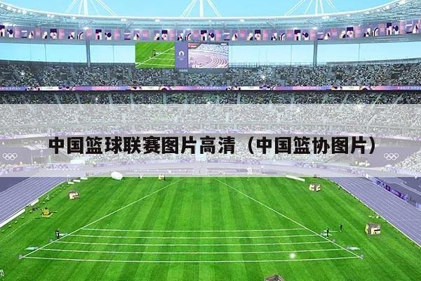 中国篮球联赛图片高清（中国篮协图片）