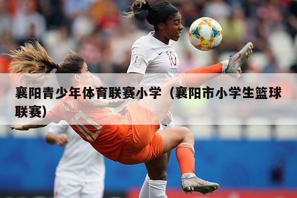 襄阳青少年体育联赛小学（襄阳市小学生篮球联赛）