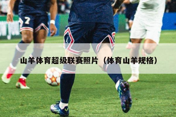 山羊体育超级联赛照片（体育山羊规格）