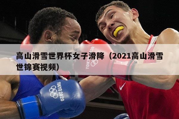 高山滑雪世界杯女子滑降(2021高山滑雪世锦赛视频)