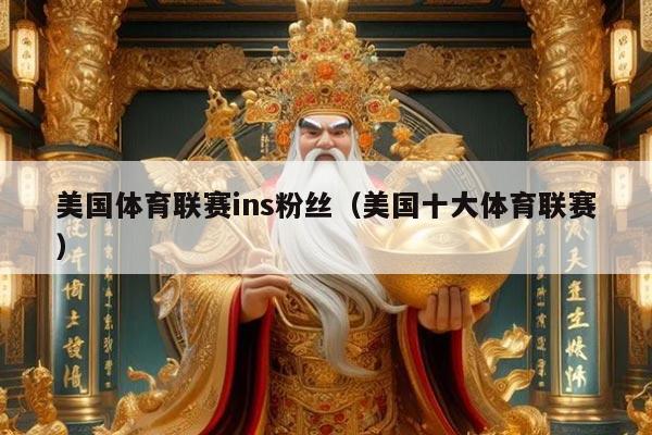 美国体育联赛ins粉丝（美国十大体育联赛）
