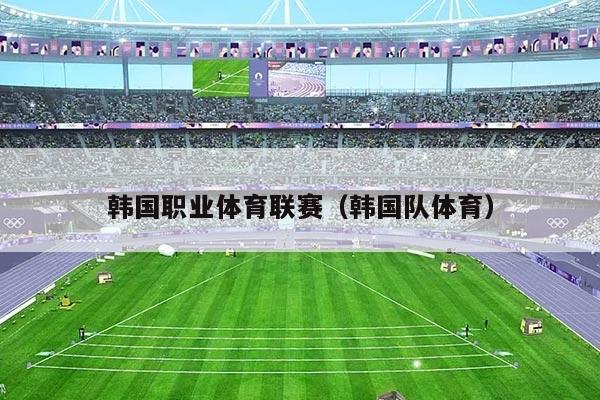 韩国职业体育联赛（韩国队体育）