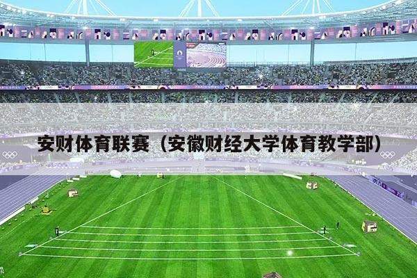 安财体育联赛（安徽财经大学体育教学部）