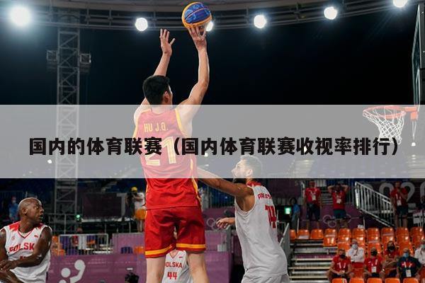 国内的体育联赛(国内体育联赛收视率排行)
