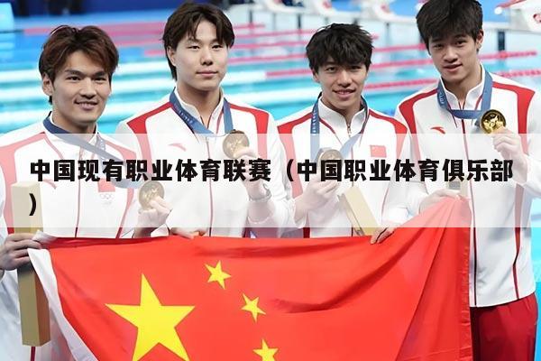 中国现有职业体育联赛（中国职业体育俱乐部）