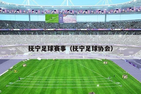 抚宁足球赛事（抚宁足球协会）