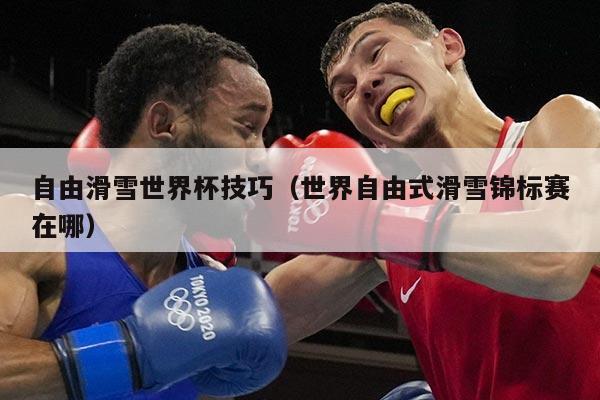 自由滑雪世界杯技巧（世界自由式滑雪锦标赛在哪）