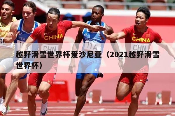 越野滑雪世界杯爱沙尼亚（2021越野滑雪世界杯）