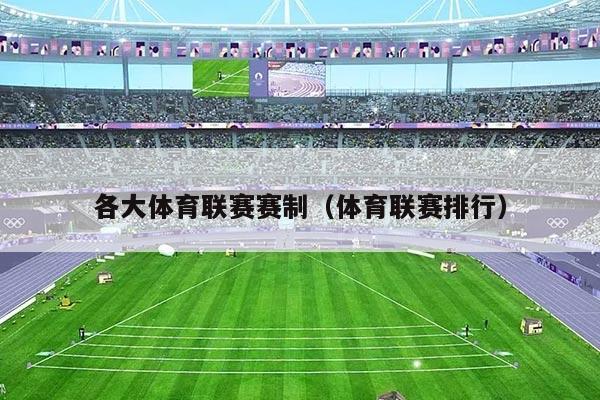 各大体育联赛赛制（体育联赛排行）