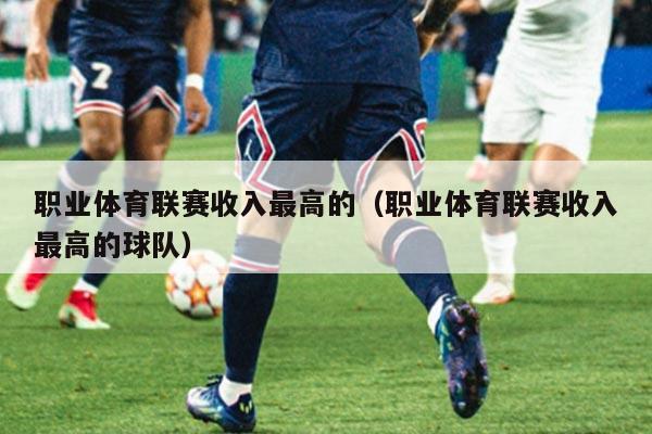 职业体育联赛收入最高的（职业体育联赛收入最高的球队）