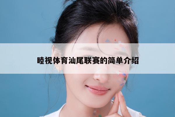 睦视体育汕尾联赛的简单介绍