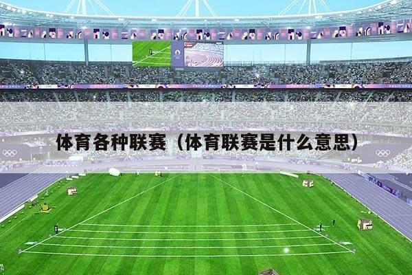 体育各种联赛（体育联赛是什么意思）