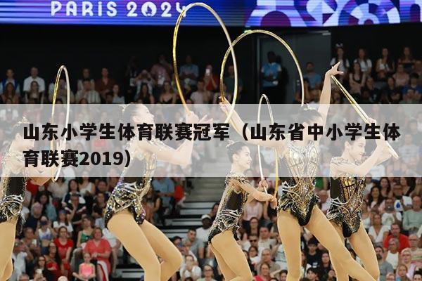 山东小学生体育联赛冠军（山东省中小学生体育联赛2019）
