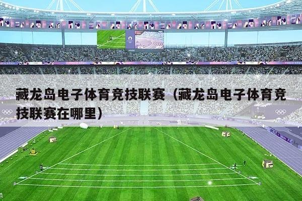 藏龙岛电子体育竞技联赛（藏龙岛电子体育竞技联赛在哪里）