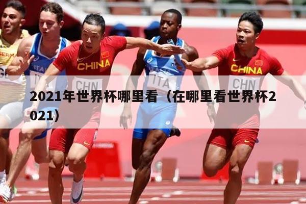 2021年世界杯哪里看（在哪里看世界杯2021）